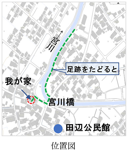 我が家の庭先に狐がやって来た