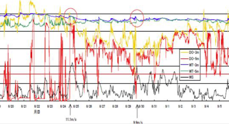 諏訪湖の貧酸素化改善対策