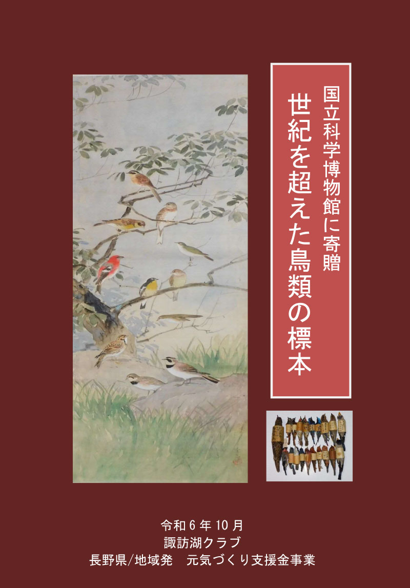 冊子「世紀を超えた 鳥類の標本」