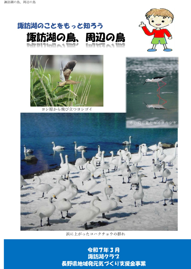 冊子「諏訪湖の鳥、周辺の鳥」 